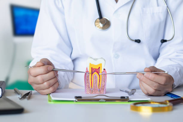 Best After-Hours Emergency Dentist in North Vernon, IN